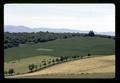 Looking down at sheep pasture from top of hill, Don Tschanz farm, Sheridan, Oregon, June 1972