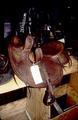 Side saddle by Smith