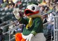 Duck mascot, 2013