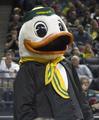 Duck mascot, 2015