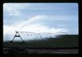 Sprinkler irrigation, Umatilla County, Oregon, circa 1973