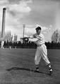 1948 OSC baseball player
