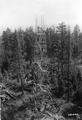 Fire tower construction, Fremont National Forest, Oregon