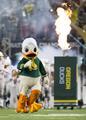 Duck mascot, 2015