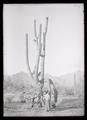 Irene Finley beside a giant cactus