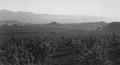 View of Ashland, Oregon, from an orchard