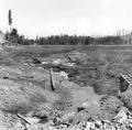 Medco Pond, Umpqua River