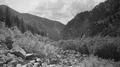 East Fork Mayfield Creek valley looking upstream