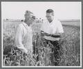 PPL demonstration farm near Lebanon, Oregon with Paul Quimby and Wilson Foote, 1967