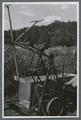 Cherry orchard (east farm) with farm machinery, circa 1950