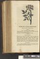 A New Family Herbal or Familiar Account of the Medical Properties of British and Foreign plants also their uses in Dying and the Various Arts arranged according to the Linnaean System [p348]