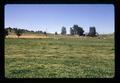 Farmstead, Jefferson County, Oregon, circa 1972