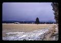 Horse ranch near Sisters, Oregon, February 1972