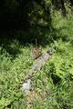 Glacier Irrigation Ditch, Middle Fork Irrigation District (Parkdale, Oregon)