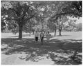 Lower campus scene, Summer 1963