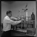 Faculty with white rat used in rocket fuel experiment at the Science Research Institute, 1964