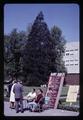 Turtle Derby betting table in Memorial Union quad, circa 1965