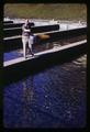 Feeding pellets to fish at Cascade Salmon Hatchery, Cascade Locks, Oregon, circa 1965