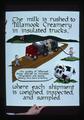 The Milk is Rushed to Tillamook Creamery in Insulated Trucks poster, 1979