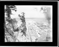 Rock formations off coast near Shore Acres.