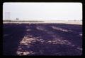 Wheat stubble burned at Jackson Farm, Corvallis, Oregon, 1966