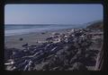 Logs and beach north of Driftwood Shores Motel, Florence, Oregon, 1974