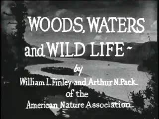 Woods, Waters, and Wildlife