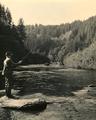 Fly fishing on the Alsea River
