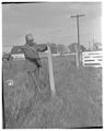 E. L. "Dad" Potter, Animal Husbandry professor, May 1964