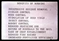 Benefits of Burning presentation slide, Oregon State University, circa 1970