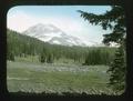 Sheep in meadow at head of Linton Creek, South Sister in background, Cascade N. F.