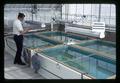 Harrison Dooley with water tanks in greenhouse, USDA Pesticide Regulation Division, 1967