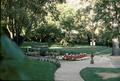 Lithia Park (Ashland, Oregon)