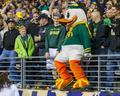 Duck mascot, 2015