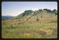 Unimproved land on hill in Douglas County, Oregon, 1966