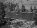 Confluence of Camas Creek and Middle Fork of Salmon River