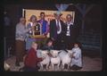 Lamb winners with judges, Pacific International Livestock Expo, Oregon, 1976