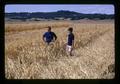 Warren Kronstad and Margie Stiger in wheat field, North Willamette Experiment Station, Oregon State University, Aurora, Oregon, July 1972