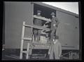 Elk loaded in boxcar