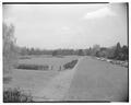 Military parade on lower campus, Spring 1951