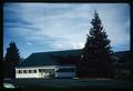 Unidentified building and tree, circa 1965