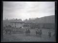 Crowd viewing elk loaded in a boxcar