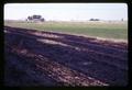 Burned field at Jackson Farm, Corvallis, Oregon, March 1969