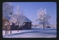 House and trees with hoar frost, Malheur County, Oregon, December 1974