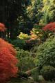 Portland Japanese Garden (Portland, Oregon)