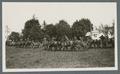 Horse-drawn artillery caissons/limbers on parade, circa 1920