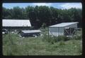 Turkey farm, Oregon State University, Corvallis, Oregon, 1975