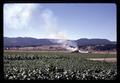 Field burner with smoke, Oregon, July 1971
