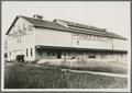 Drager Fruit Company prune packing plant, circa 1925