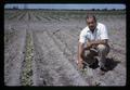 Dan Evans with manganese-deficient beans on Jackson Farm, 1963